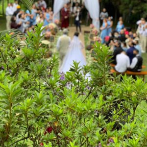Floresta Eventos: espaços e buffet para casamentos e eventos em São Bernardo do Campo